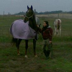 Anden særlig race Mitzi *R.I.P* 29/6 2010