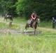 New Forest Kantjes *rideskolepony*