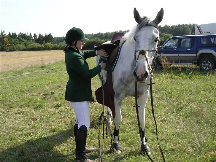 Sportsaraber (A) Søgaardens Magic spirit - Magic og louise - min meget savnede halvpart :( billede 12