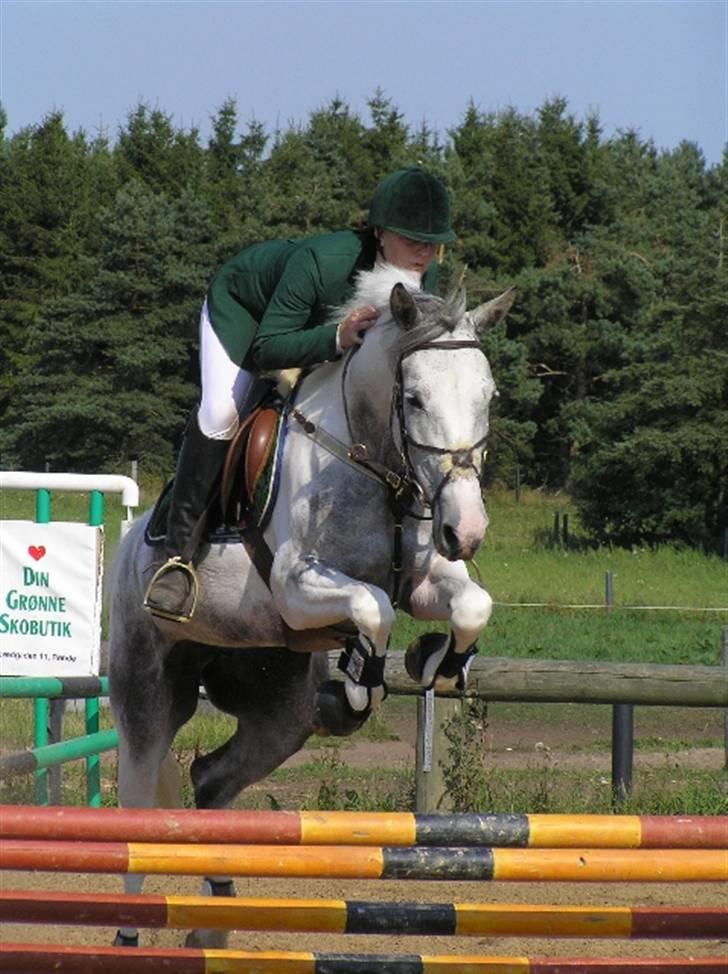 Sportsaraber (A) Søgaardens Magic spirit - Magic og louise - min meget savnede halvpart :( billede 13