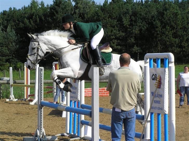 Sportsaraber (A) Søgaardens Magic spirit - Magic og louise - min meget savnede halvpart :( billede 14