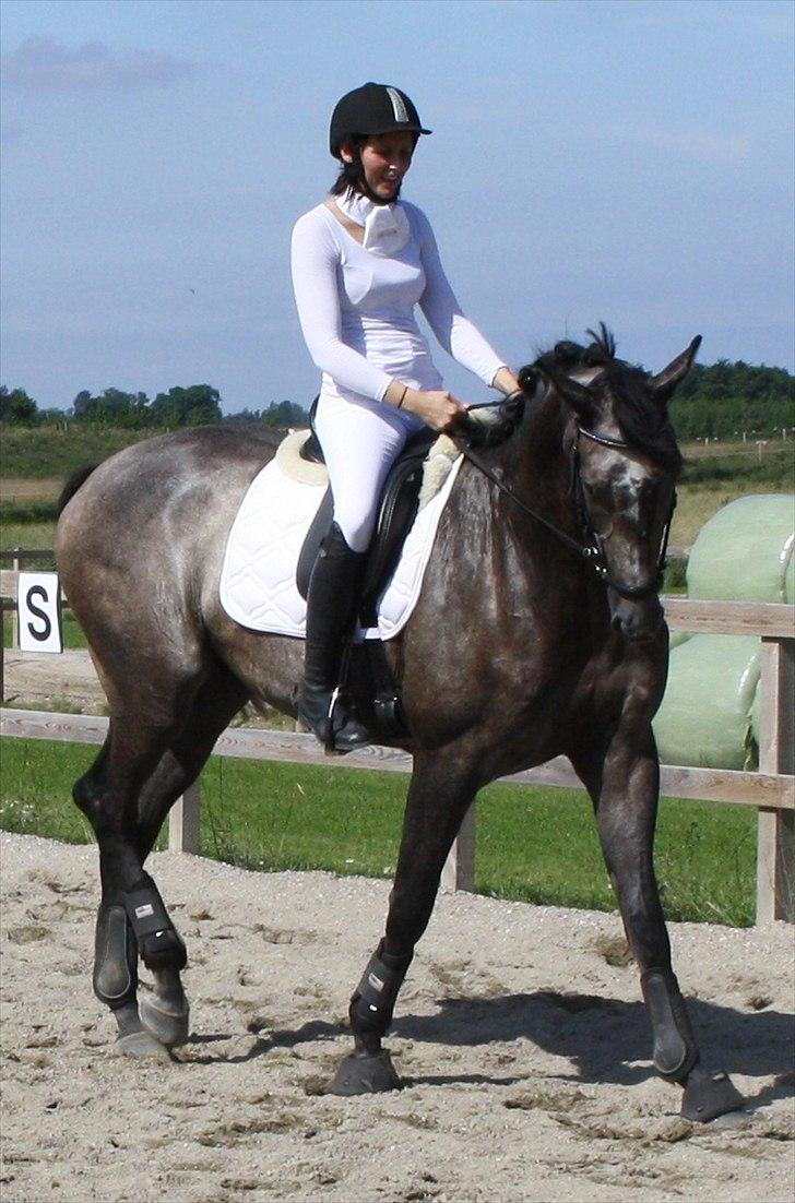 Fuldblod (XX) Kozlak XX RIP billede 14