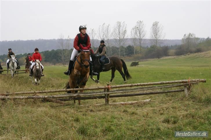 Anden særlig race Holiday  - fordi vi tog til Hubertujagt foto: Elizabeth :D billede 10
