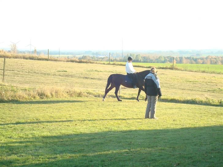 Traver Linda Egely (nelle) billede 5