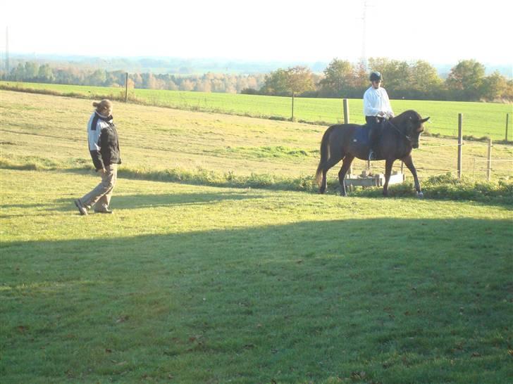 Traver Linda Egely (nelle) billede 6