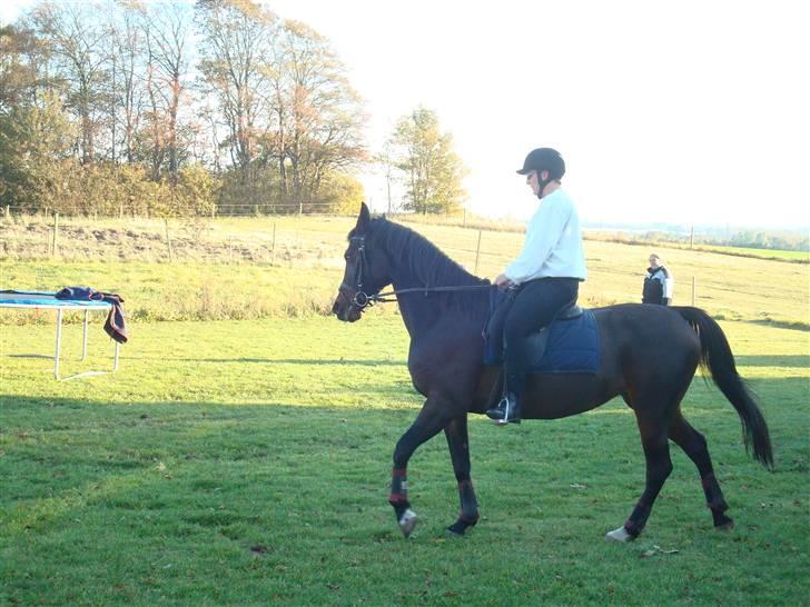 Traver Linda Egely (nelle) billede 7