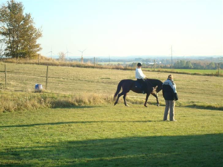 Traver Linda Egely (nelle) billede 8