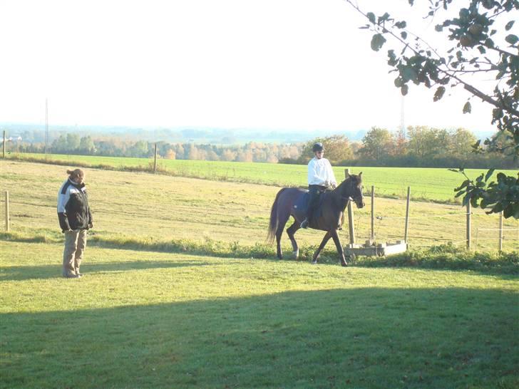 Traver Linda Egely (nelle) billede 9