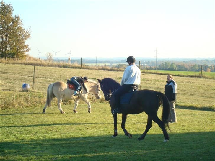 Traver Linda Egely (nelle) billede 10