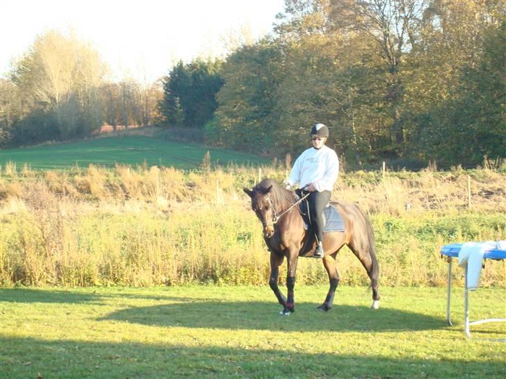 Traver Linda Egely (nelle) billede 11