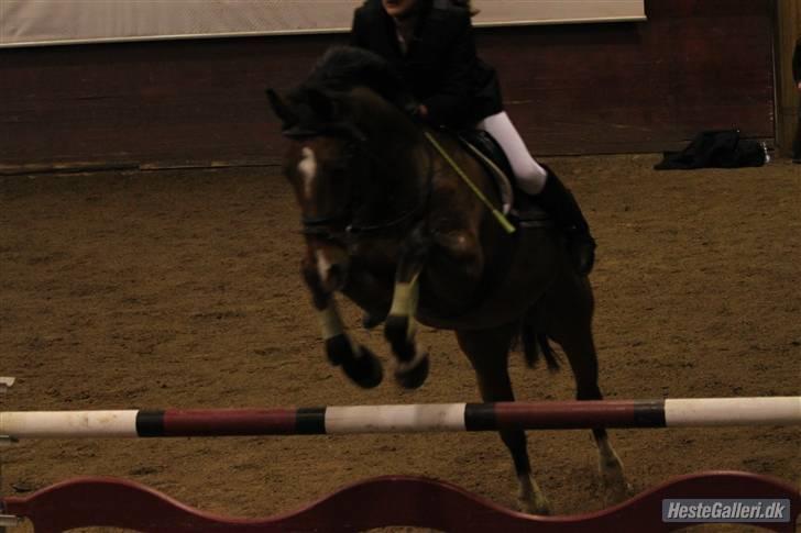 Holstener Zitano - Klubmesterskab ´09 billede 4