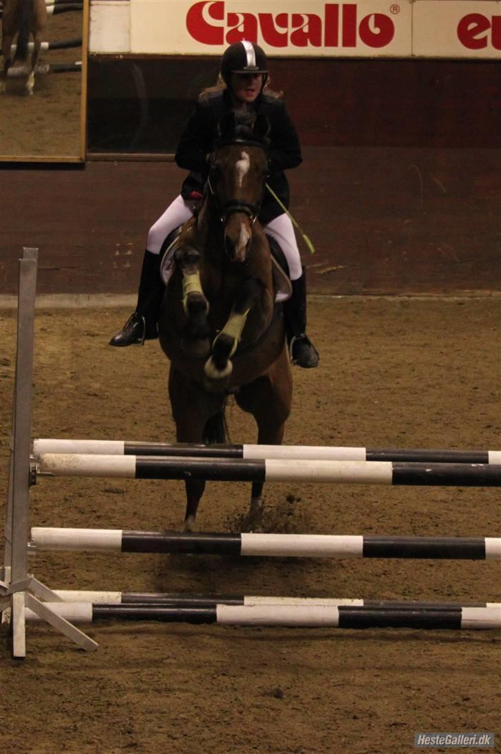 Holstener Zitano - Klubmesterskab ´09 billede 5