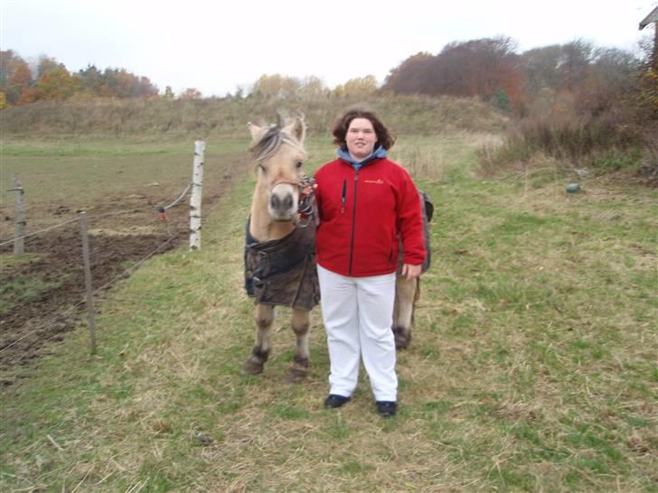 Fjordhest Jackson, solgt  - mig og Jackson d. 01/11-09 billede 15