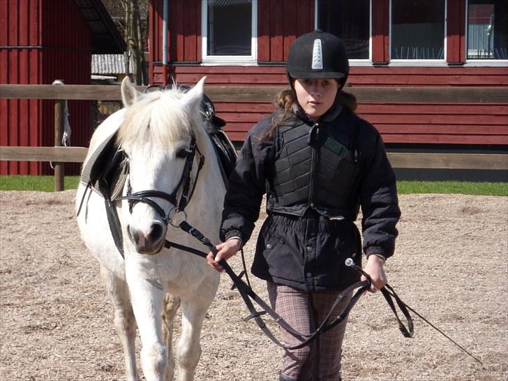 Anden særlig race Miss Grey  - Grey om mig :) billede 8