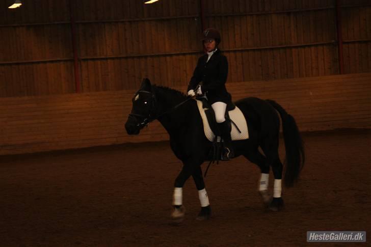 Anden særlig race Black (: (har redet) - på banen med black (: . er stolt af dig black du var så god. billede 16