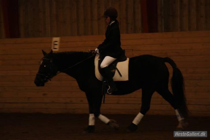 Anden særlig race Black (: (har redet) - skridt på black næsten færdig med programmet (: ..  billede 17