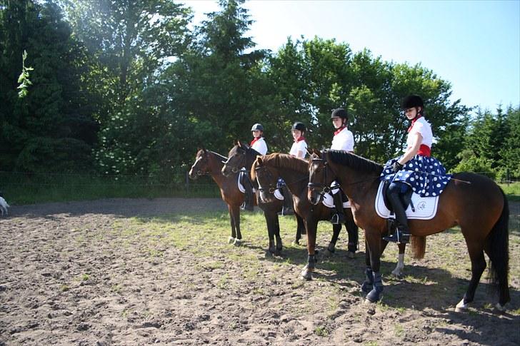 New Forest VOGNMANDGÅRDENS SHANTI  † billede 16