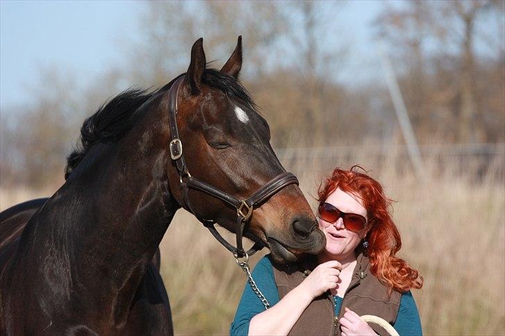 Oldenborg Union Fighter af Farmer - Kæmpe kys fra den dejligste hest... april 2011 foto: Marlene A billede 14