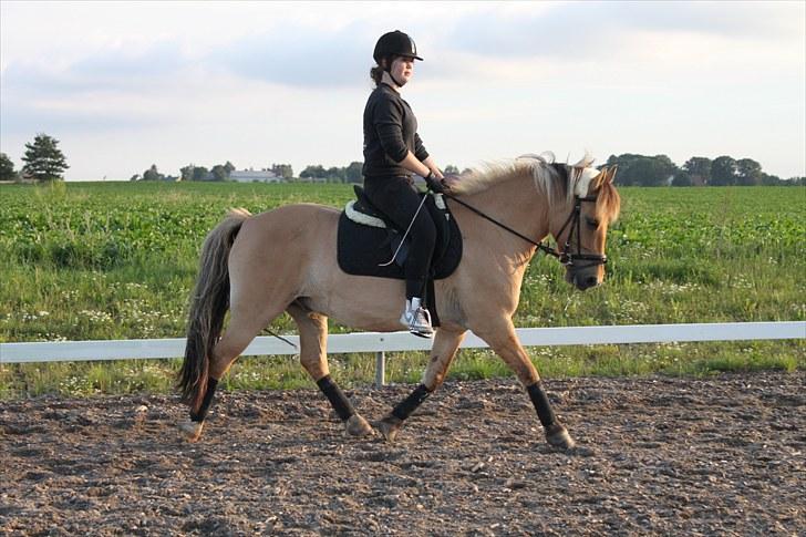 Anden særlig race Tais <3 - Super dygtige Tais en af de første gange efter hans ferie! D. 16/7-10. Foto: Julie, tak for billederne! :) billede 15