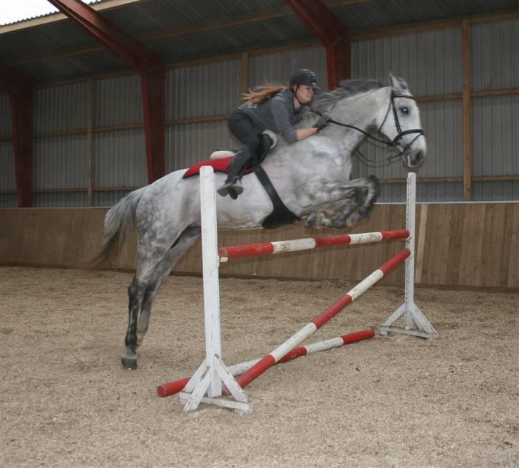 Holstener Roxette - solgt. - Velkommen. :) billede 1