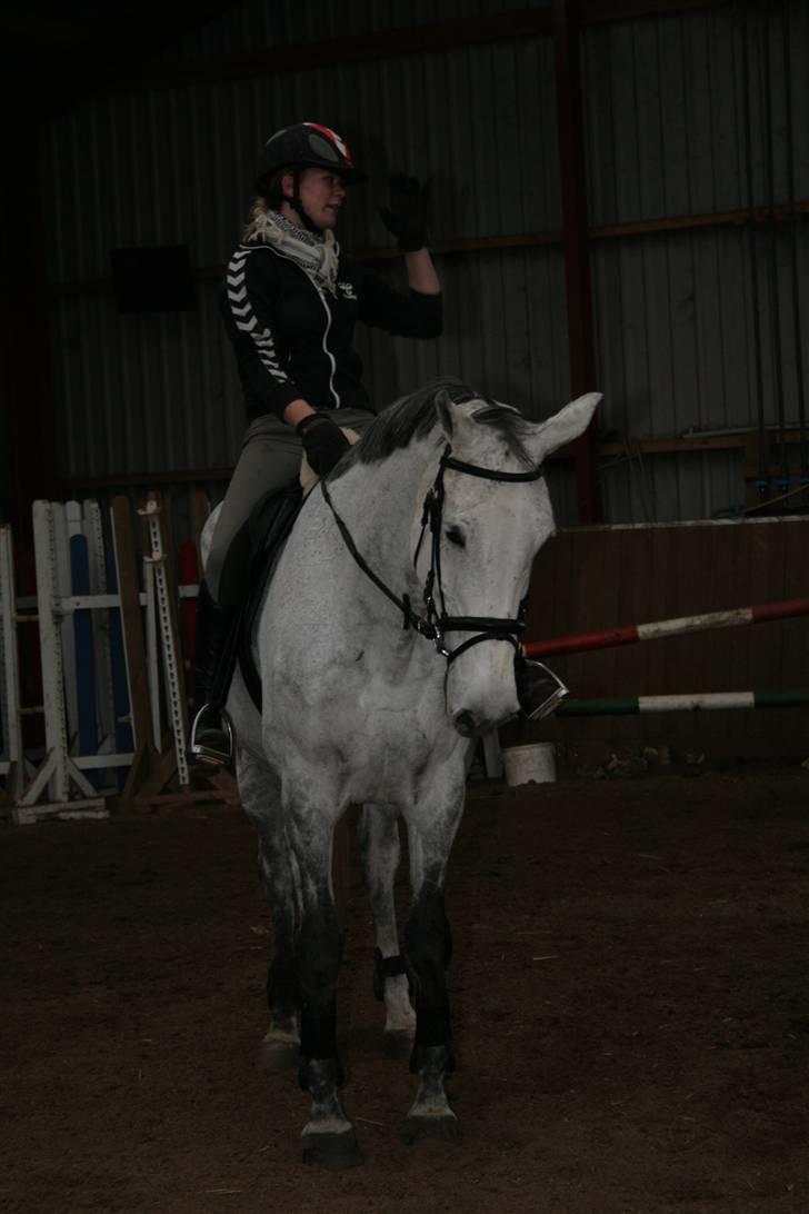 Holstener Roxette - solgt. - At lave ingenting - er skønt! :D Foto: Michala Bisballe. billede 2