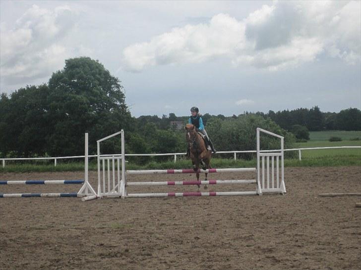 Anden særlig race Moon-Star - Ridelejr 2010 90cm. bane :D billede 2