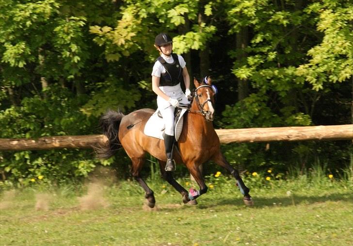 Anden særlig race Lady Dee - Lady giver den liiidt for meget gas til æresrunden xD - Sommeren 2010 billede 13