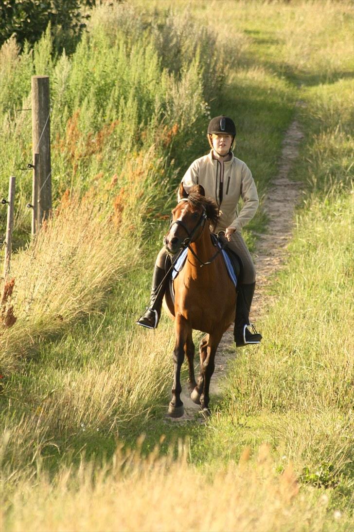 Anden særlig race Lady Dee - Du und ich pony? :* <3 - Sommeren 2010 billede 17