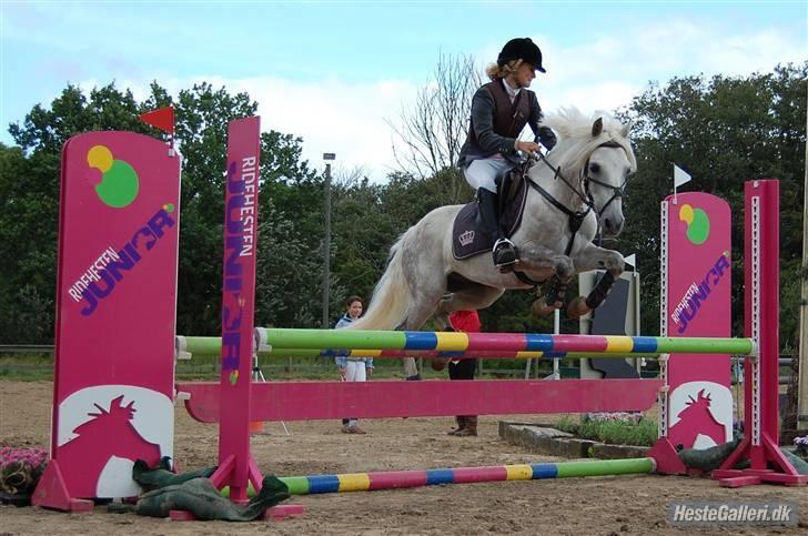 Connemara | Maximilian  - Ulsted! Virkelig lorte stævne!!+Mit sidste stævne på ham.. han var bare en lort til det stævne!! -Foto: Annika.. billede 20