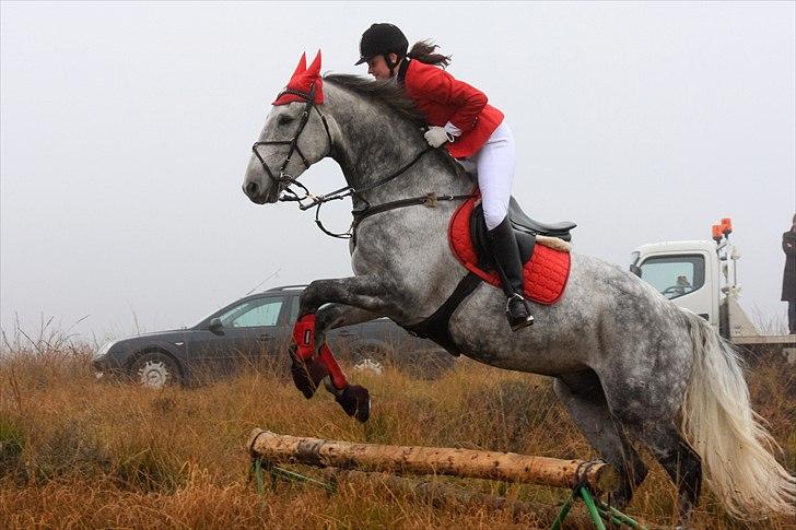 Holstener Contino - Velkommen til Continos profil. billede 1