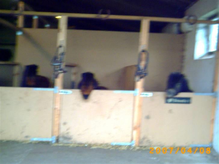 Miniature Bell - famillien Bell det er Bell længst til venstre hendes datter i midten og hendes mand i midten billede 8