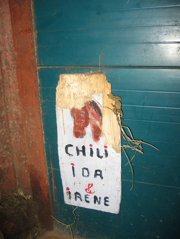 Anden særlig race Chili Con Carne - Et billede jeg har lavet, men Chili har bidt i det xD billede 6