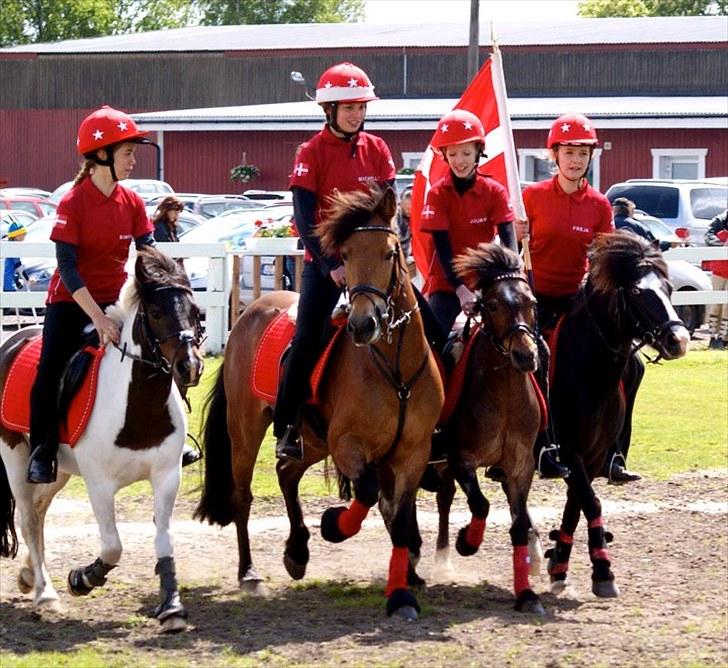 Anden særlig race Kiss Kiss Bang Bang DK  - Det bedste u14 landshold!!:) 2010 billede 16