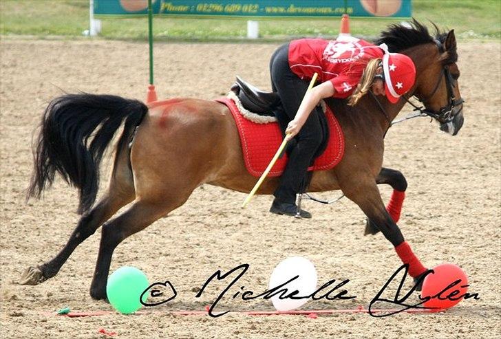 Anden særlig race Kiss Kiss Bang Bang DK  - Ballon Em wales billede 17