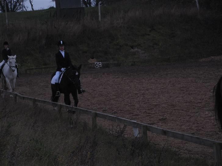 Anden særlig race Bobo (Rider) - opvarmning Bobo skaat og miig<3 billede 9