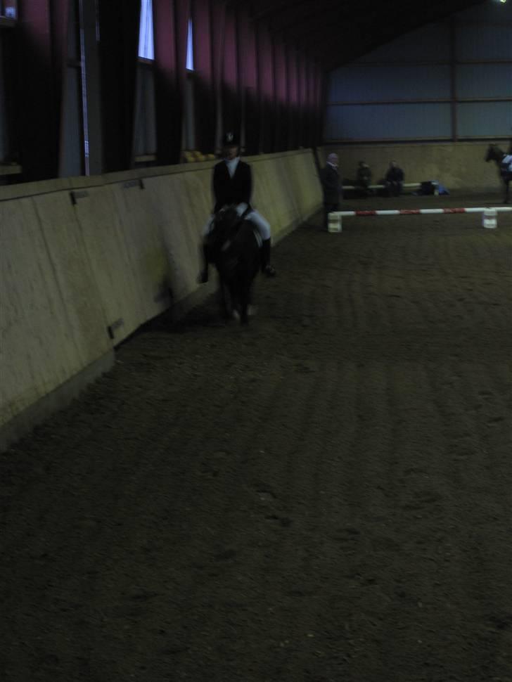 Anden særlig race Bobo (Rider) - sløred undskyld! <3 Bobo elsker dig<3 billede 13