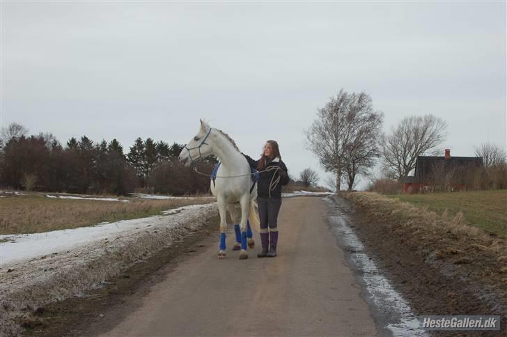 Lipizzaner Tasya - 4 # Uh hvor jeg dog elsker dig, en hyggelig tur D 13 marts 2010. Foto: Sarah B billede 5