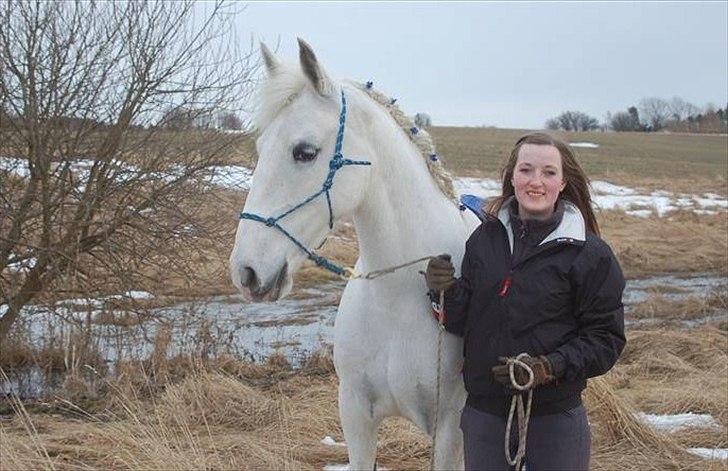 Lipizzaner Tasya - 5 # Tasya + Cille D 13 marts 2010. Foto : Sarah B billede 6