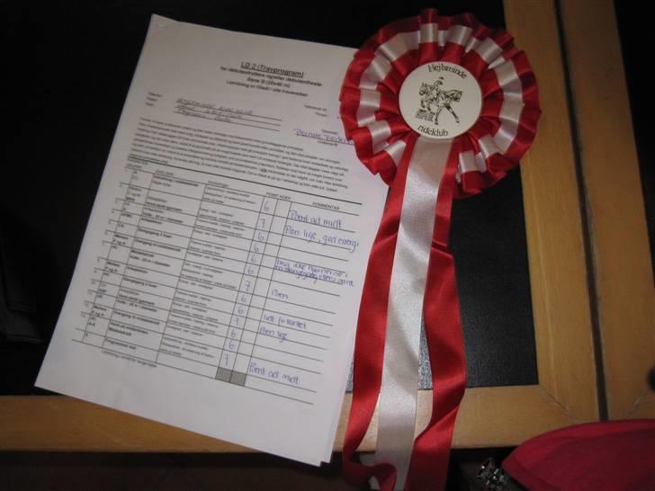 Anden særlig race Bobo (Rider) - Mega Stolt Det var mit første stævne og får man 1plads<3 billede 19