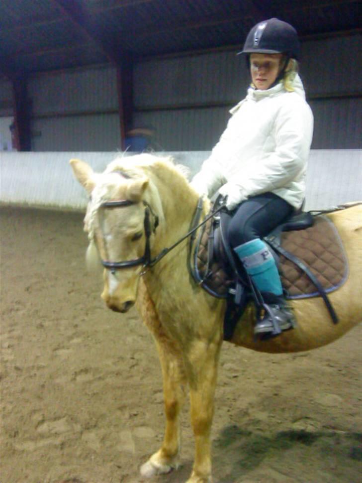 Anden særlig race magic dream  X-part - mig og magic laver en lille volte...........  billede 4