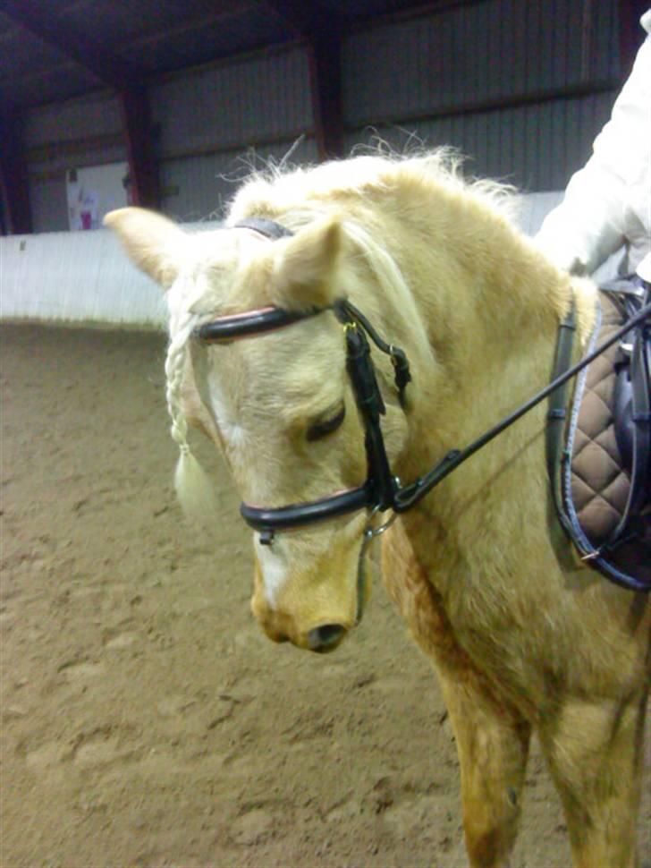 Anden særlig race magic dream  X-part - mig og magic igen...........            I LOVE YOU billede 5