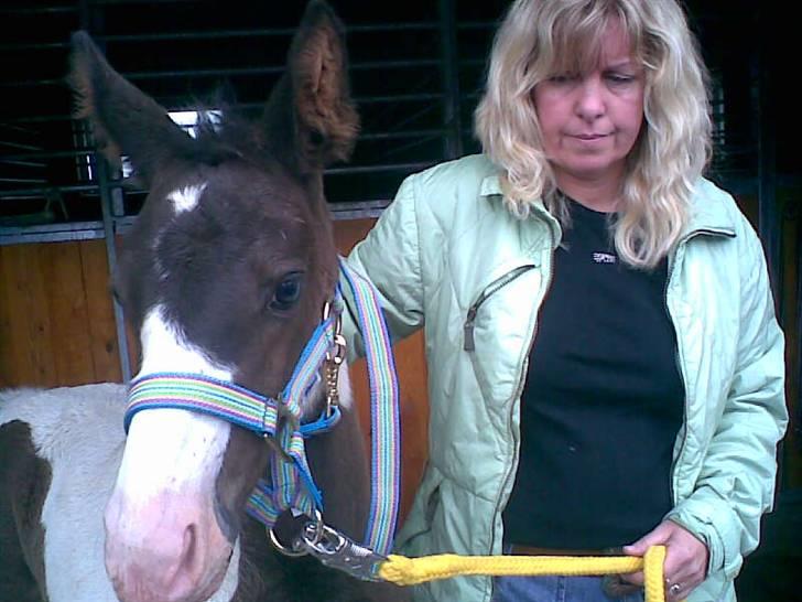 Pinto KIJEANS MADONNA - Mor & Madonna. billede 2