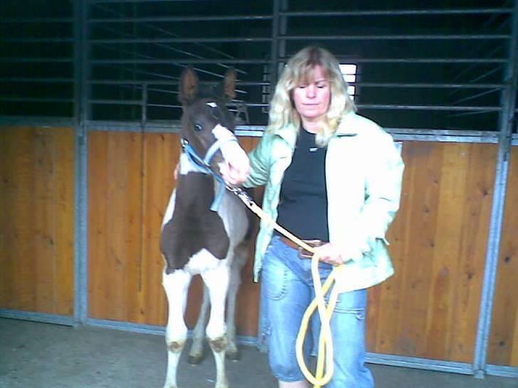 Pinto KIJEANS MADONNA - Madonna er en smule stædig (o: billede 4