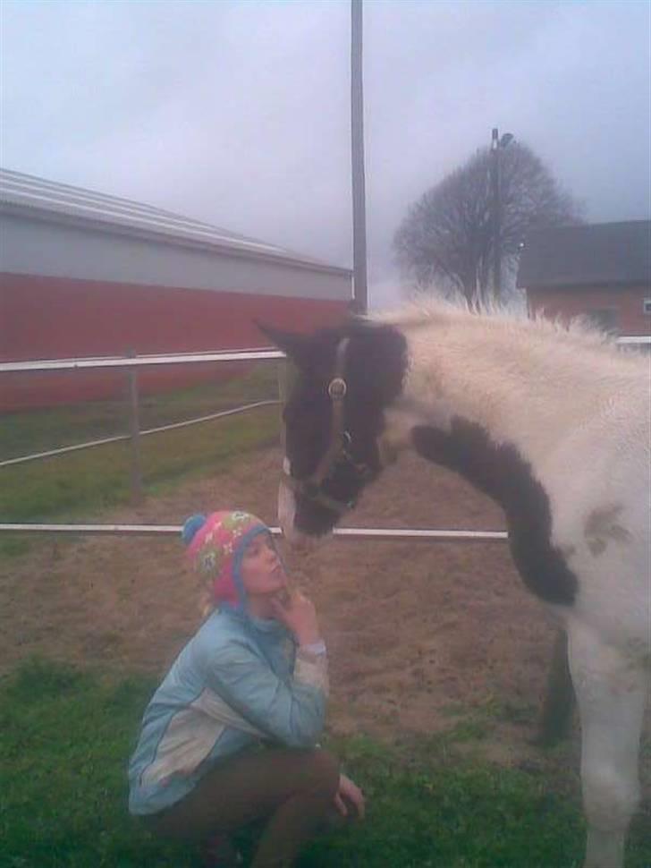 Pinto KIJEANS MADONNA billede 9