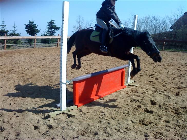 Anden særlig race Star Girl - Vi flyver !!!! billede 7