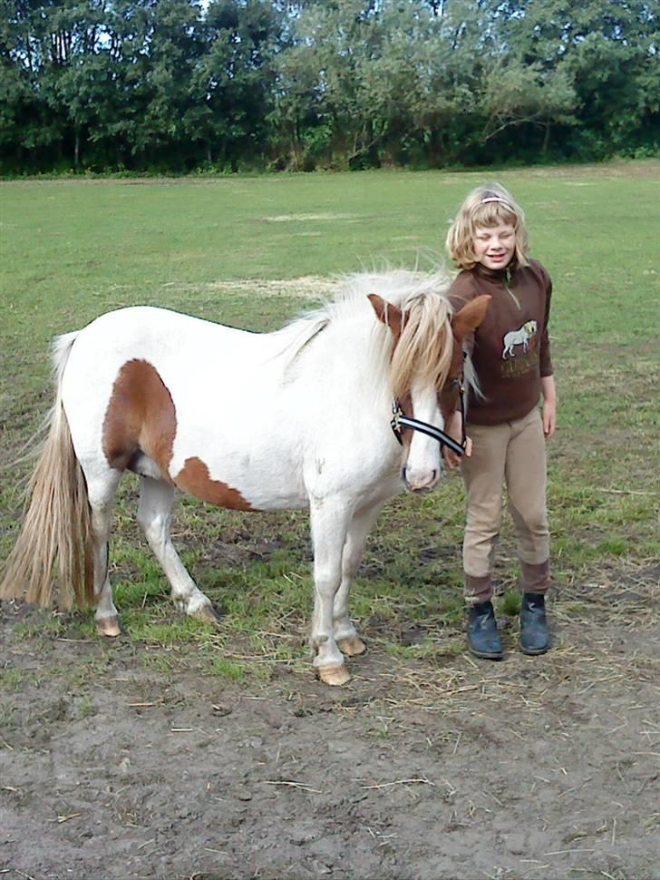 Anden særlig race Lille My *solgt* billede 5