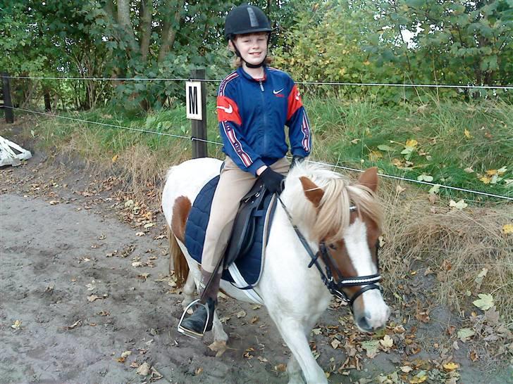 Anden særlig race Lille My *solgt* billede 7