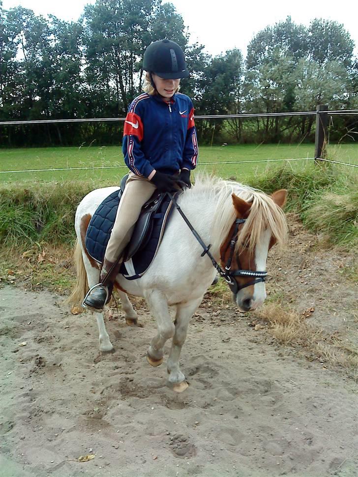 Anden særlig race Lille My *solgt* billede 8