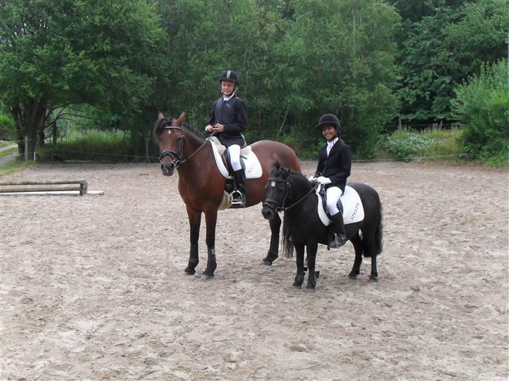 Shetlænder Trøstmosegaadens Speedy<3 - Amalie og Mette<3  billede 13
