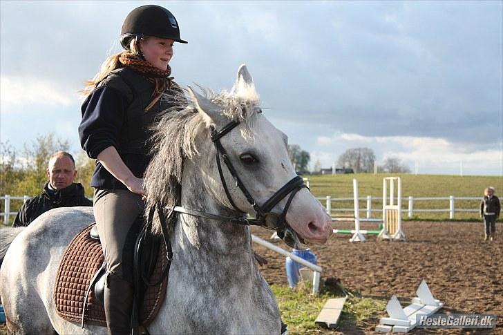 Anden særlig race CASMIR | billede 6